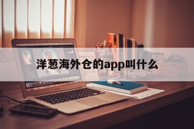 洋葱海外仓的app叫什么